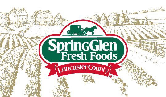 Vegetable Beef Soup - Spring Glen