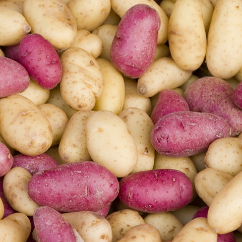 Red or Gold <br>Potatoes