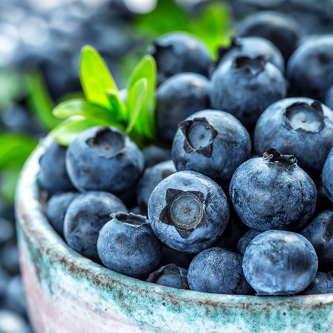 Fresh <br>Blueberries