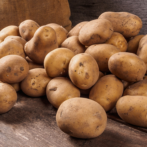 Fresh Russet Potatoes