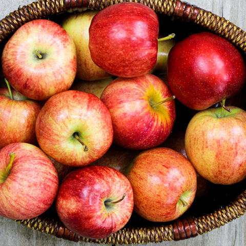 Eastern Grown Gala Apples