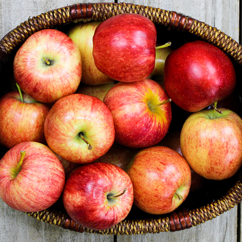Washington State Gala Apples