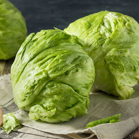 Iceberg Lettuce