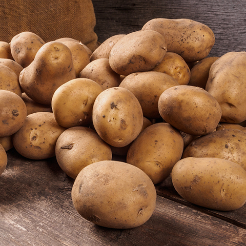 Russet Potatoes