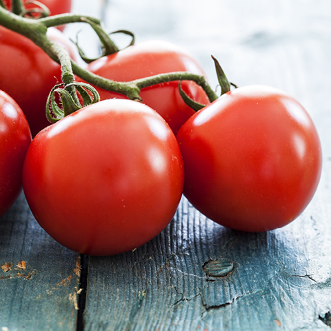 Tomatoes On The Vine