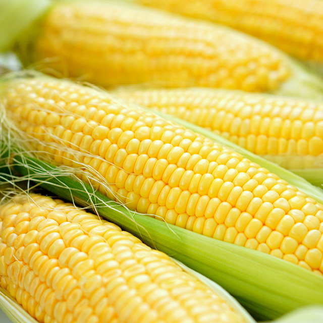 Sweet Corn