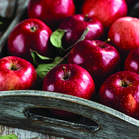 Red Delicious Apples