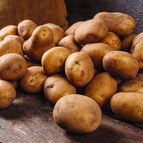 Russet Potatoes