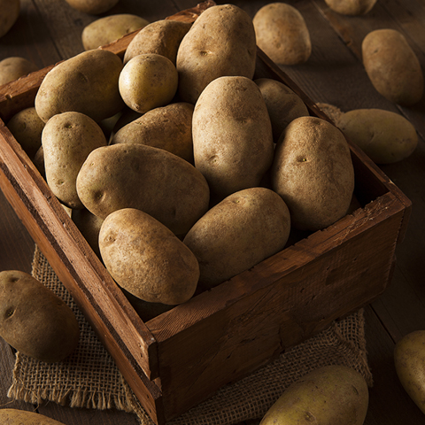 Russet Potatoes