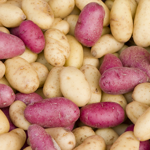 Yellow or Red Potatoes