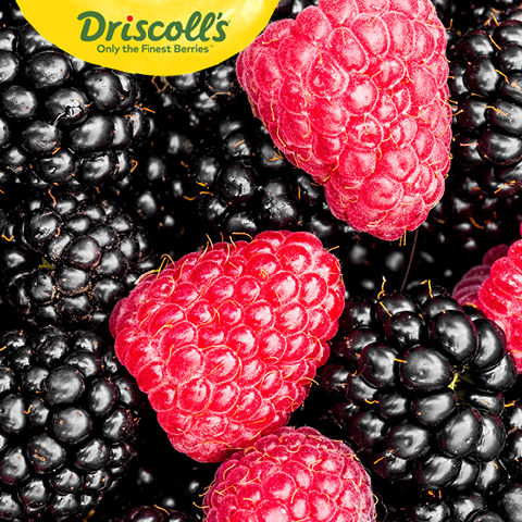 Driscoll Raspberries or Blackberries