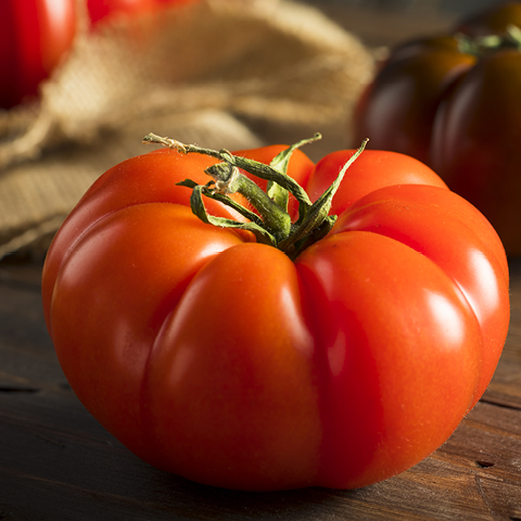 Hot House Beefsteak Tomatoes