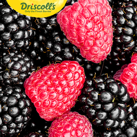 Driscoll's Blackberries or Raspberries
