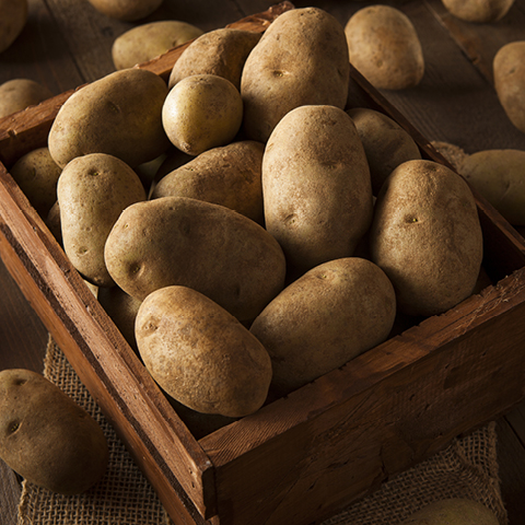 Russet Potatoes