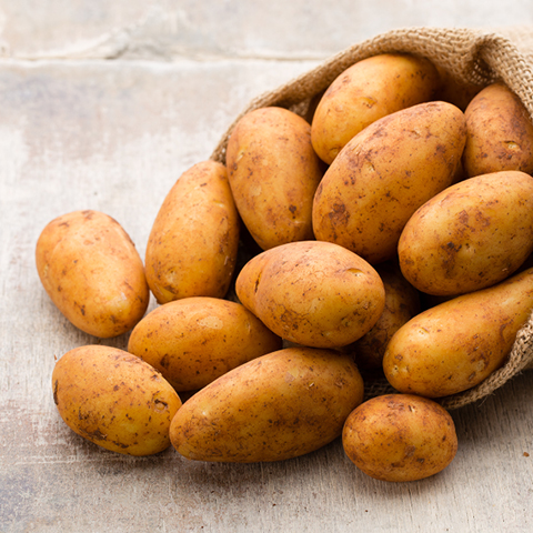 Russet Potatoes
