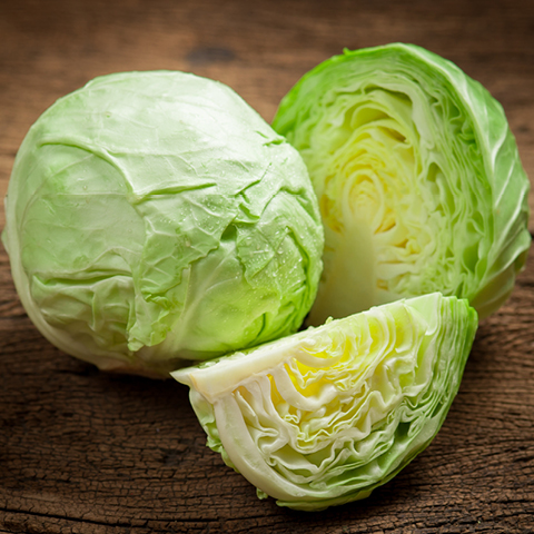 Green Cabbage