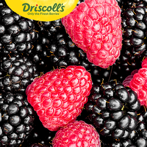 Driscoll's Blackberries or Raspberries