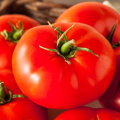 Hot House Beefsteak Tomatoes