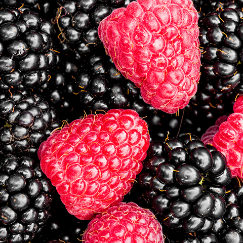 Driscoll's Blackberries or Raspberries